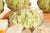 Roasted Garlic & Artichoke Spread with Garlic Olive Oil & Sicilian Lemon White Balsamic