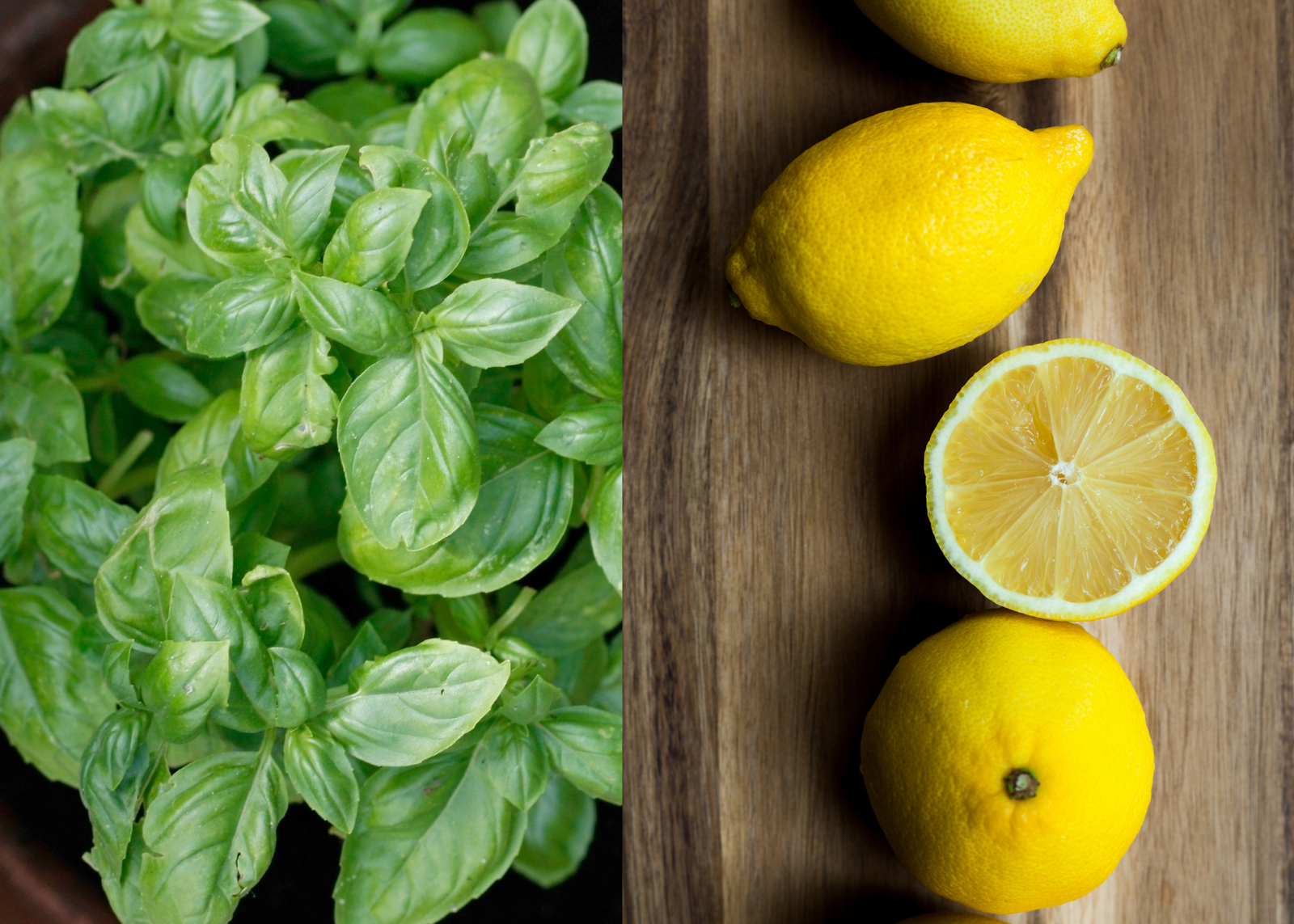 Basil Infused Olive Oil & Sicilian Lemon White Balsamic