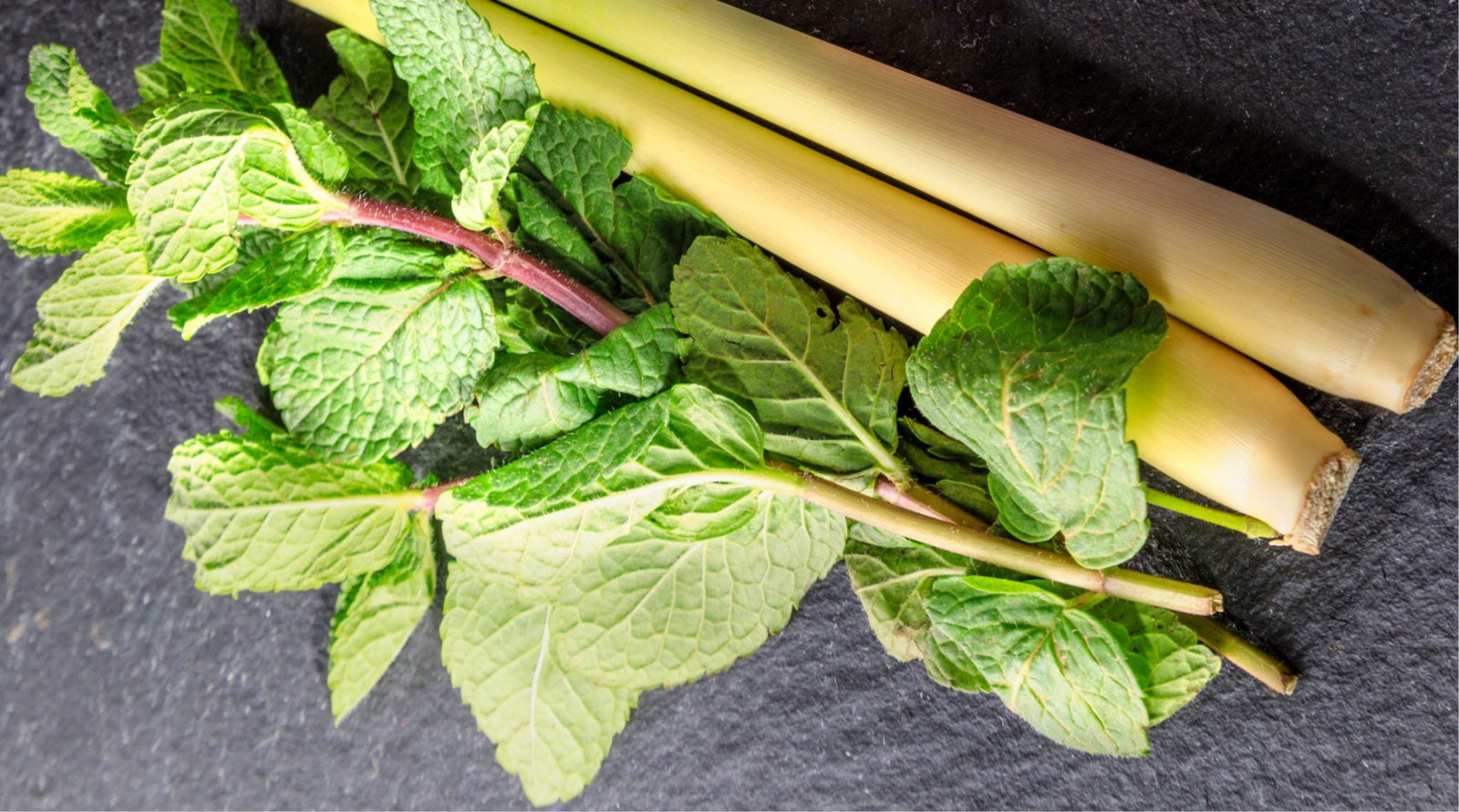 Lemongrass Mint White Balsamic Vinegar
