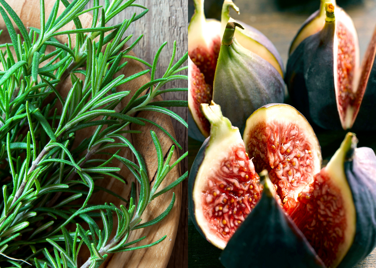 Rosemary Fused Olive Oil & Black Mission Fig Dark Balsamic