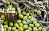 Kalamata Reserve Robust EVOO (Greece) IOO266