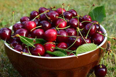 Montmorency Cherry Rosé Balsamic Vinegar