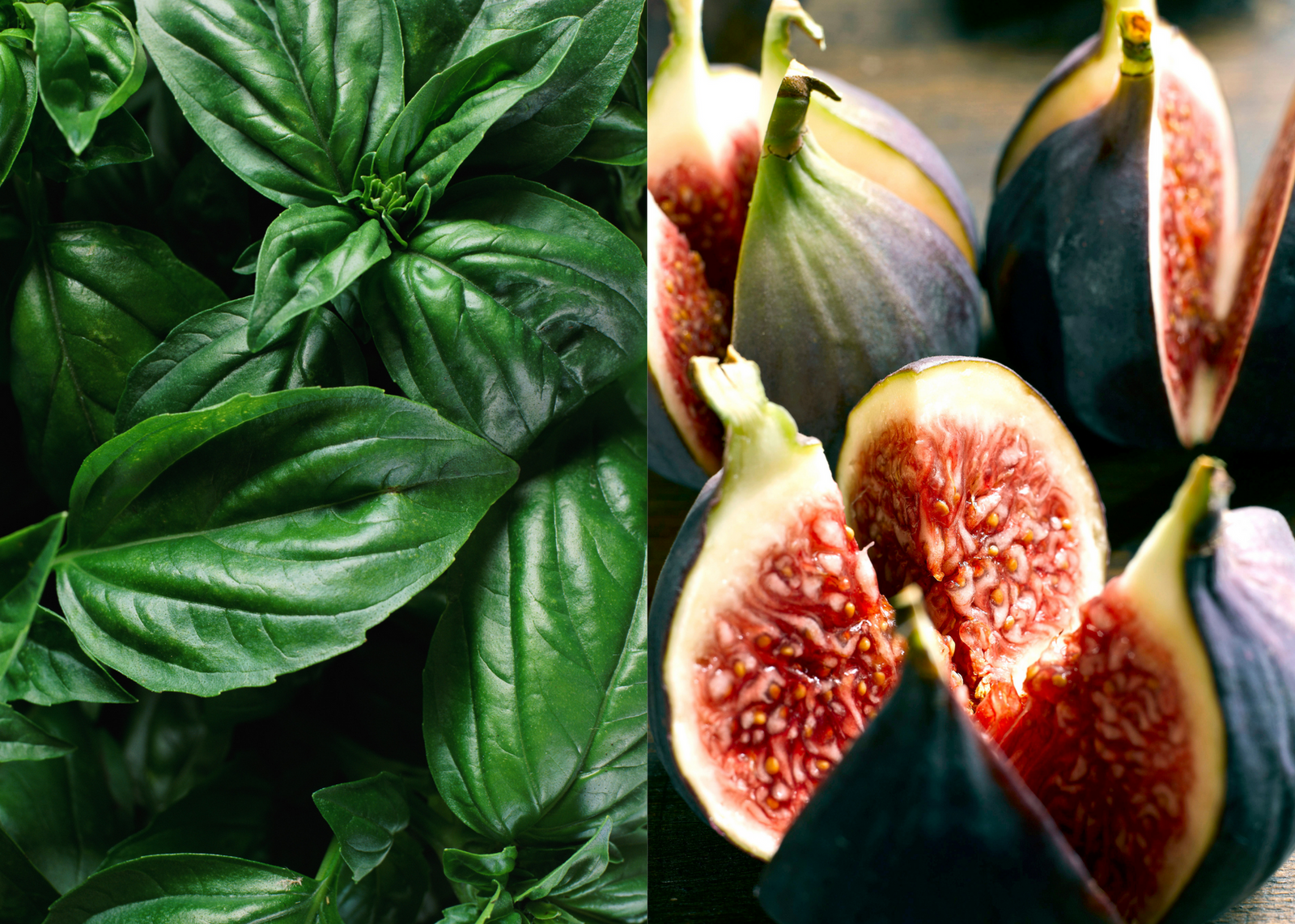 Basil Infused Olive Oil & Black Mission Fig Dark Balsamic