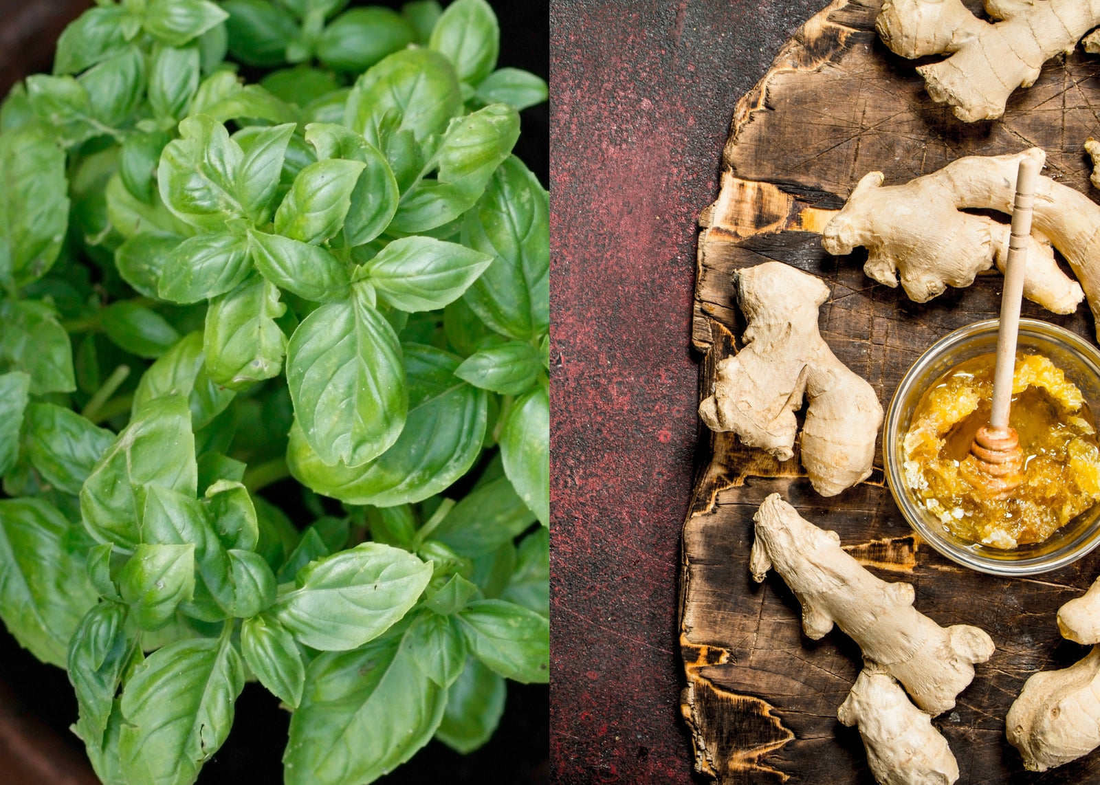 Basil Infused Olive Oil & Honey Ginger White Balsamic Vinegar