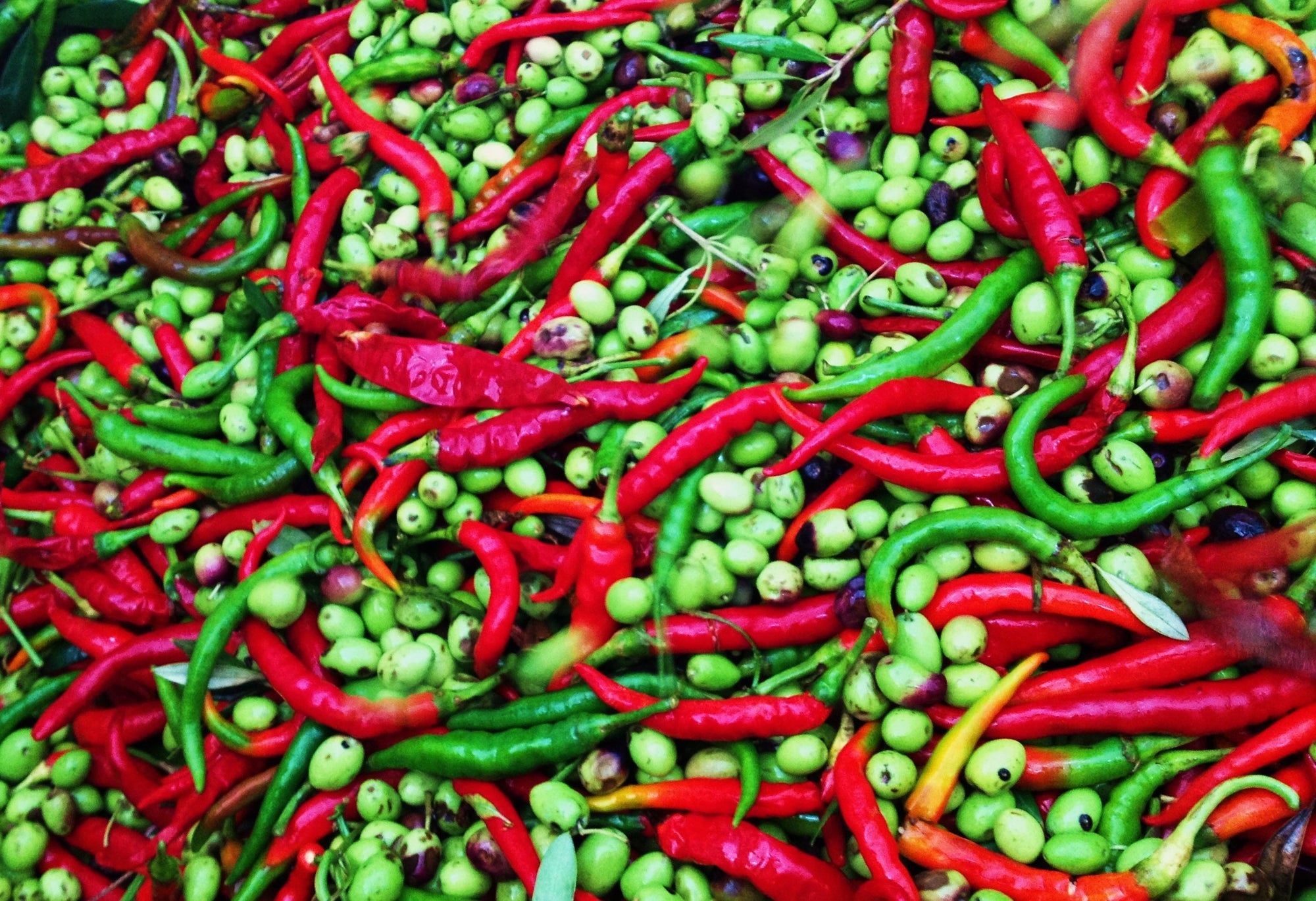 Chipotle Infused Olive Oil