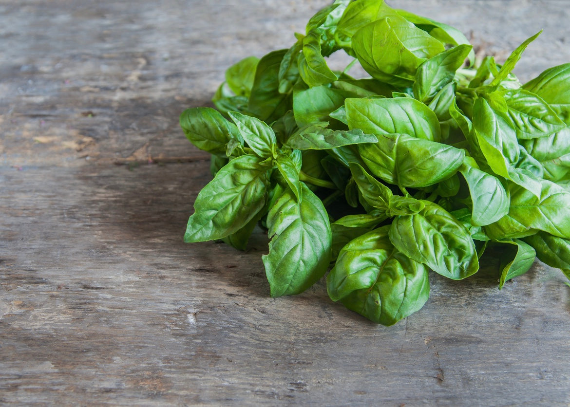 Basil Infused Olive Oil