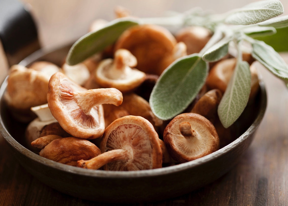 Wild Mushroom & Sage Infused Olive Oil