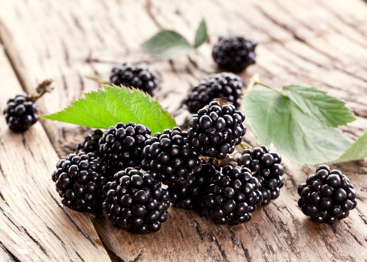 Blackberry-Ginger Dark Balsamic Vinegar