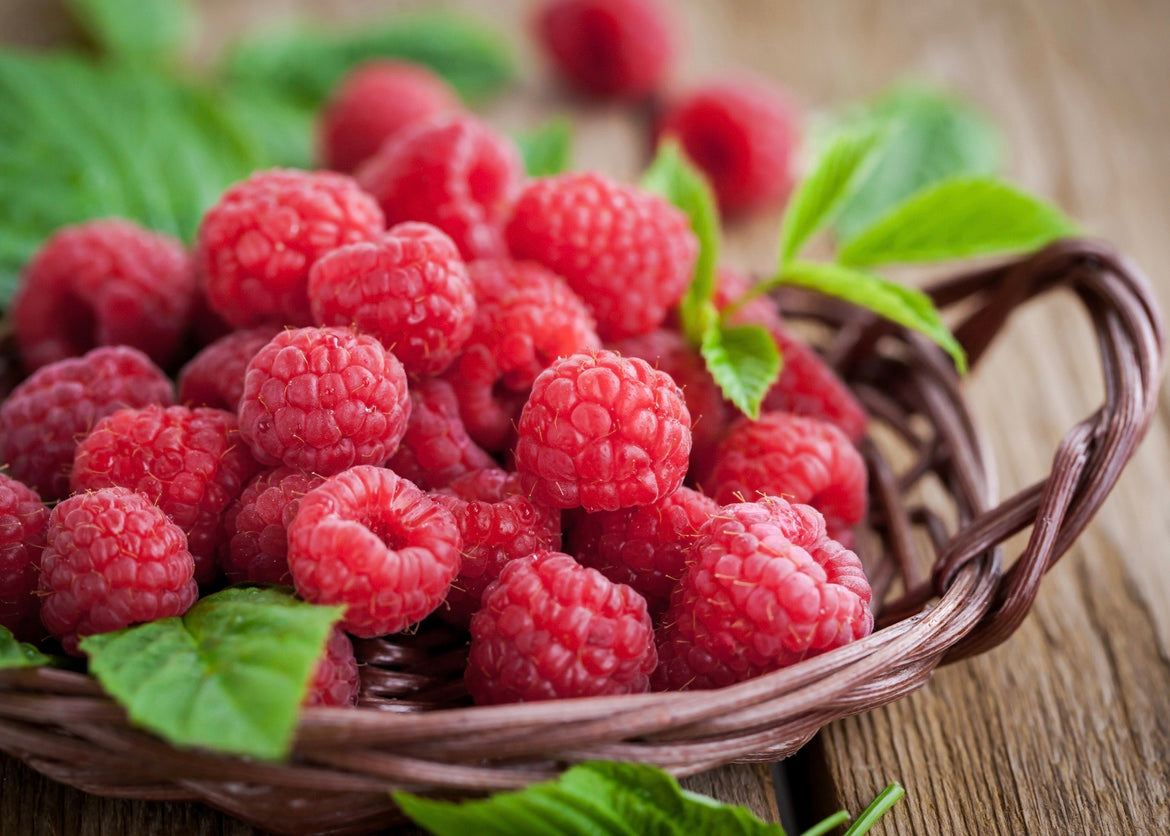 Raspberry Dark Balsamic Vinegar