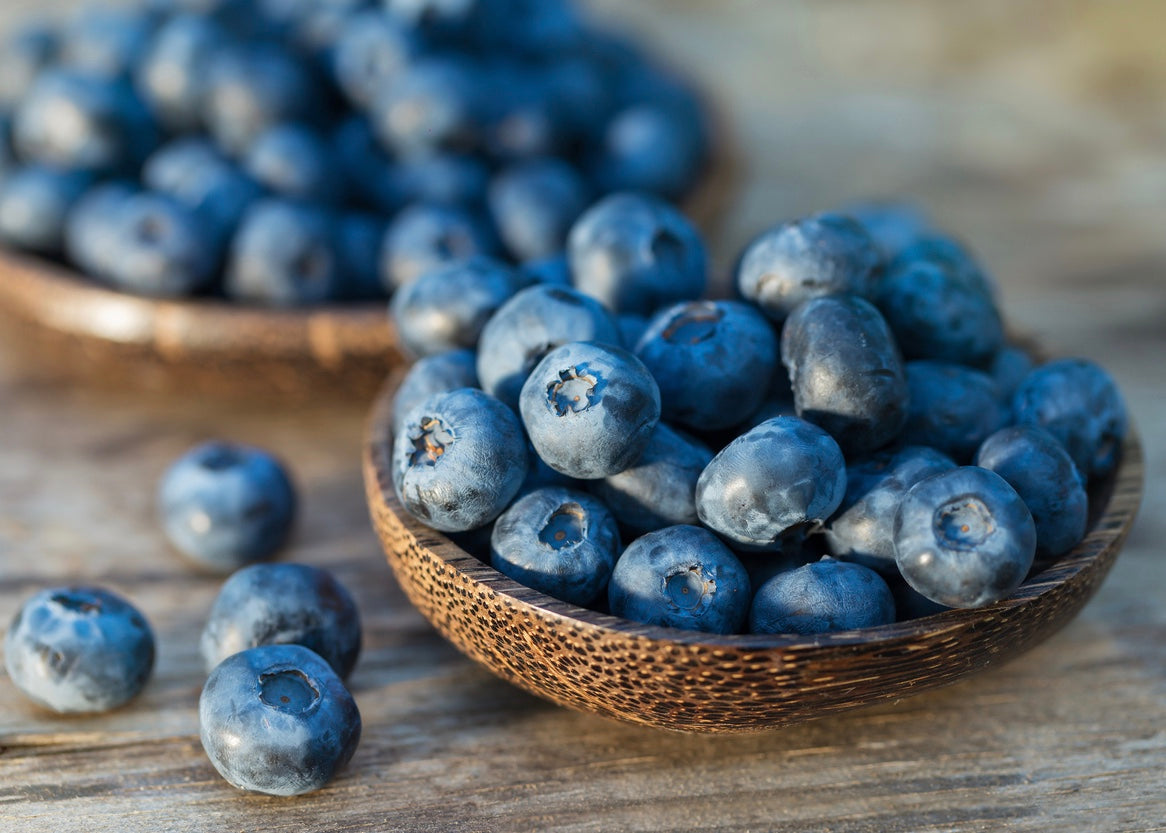 Wild Blueberry Dark Balsamic Vinegar