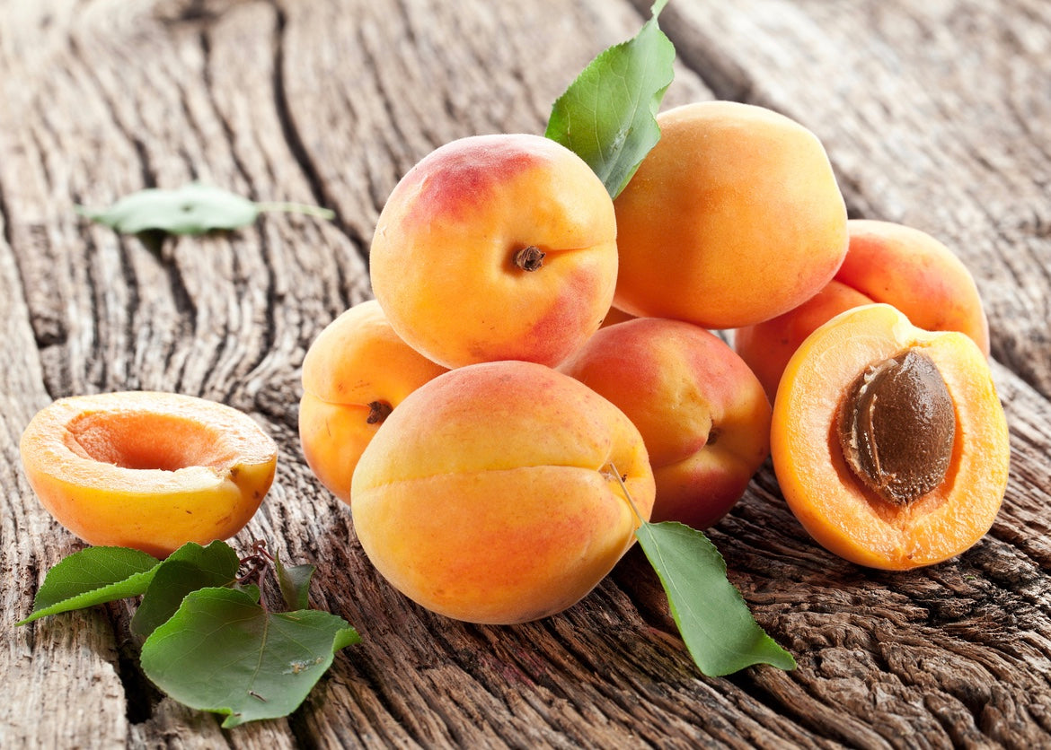 Blenheim Apricot White Balsamic Vinegar