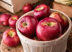 Gravenstein Apple White Balsamic Vinegar