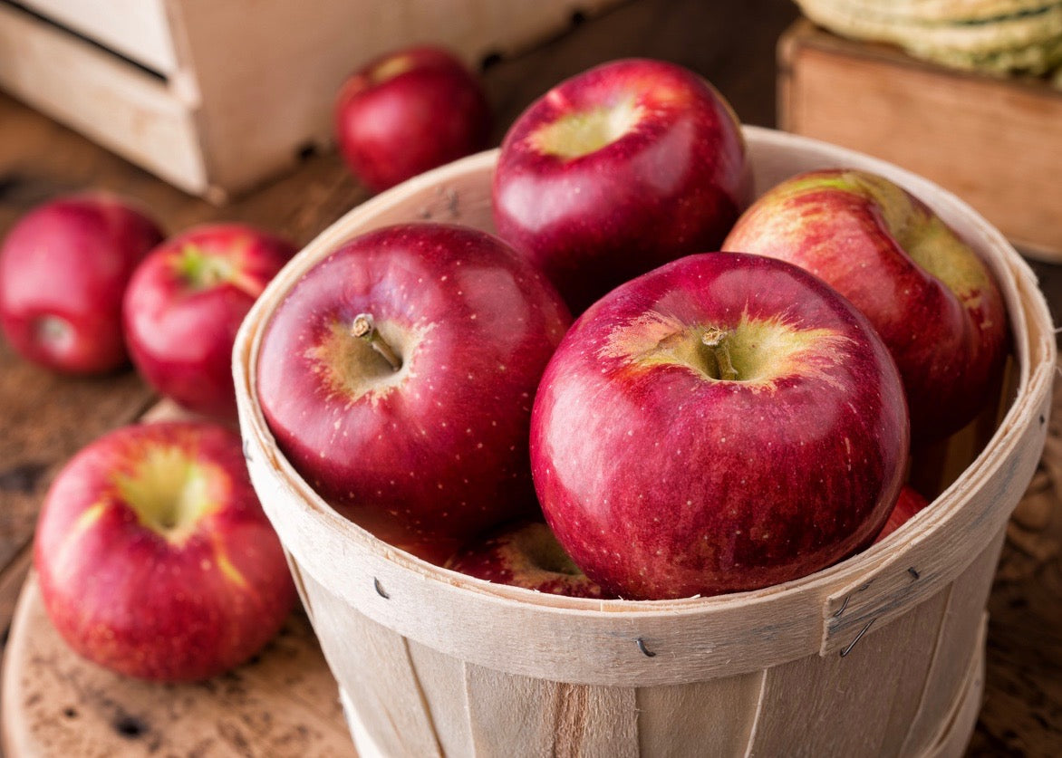 Gravenstein Apple White Balsamic Vinegar