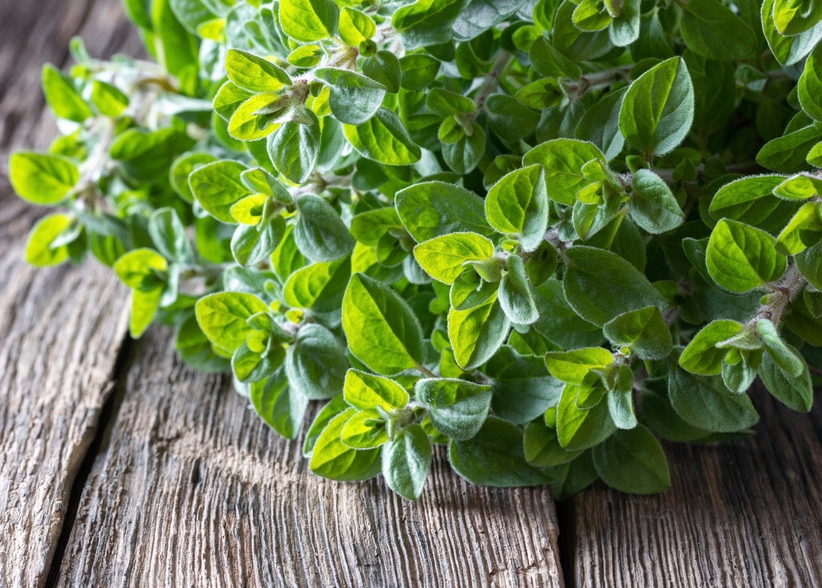 Oregano White Balsamic Vinegar