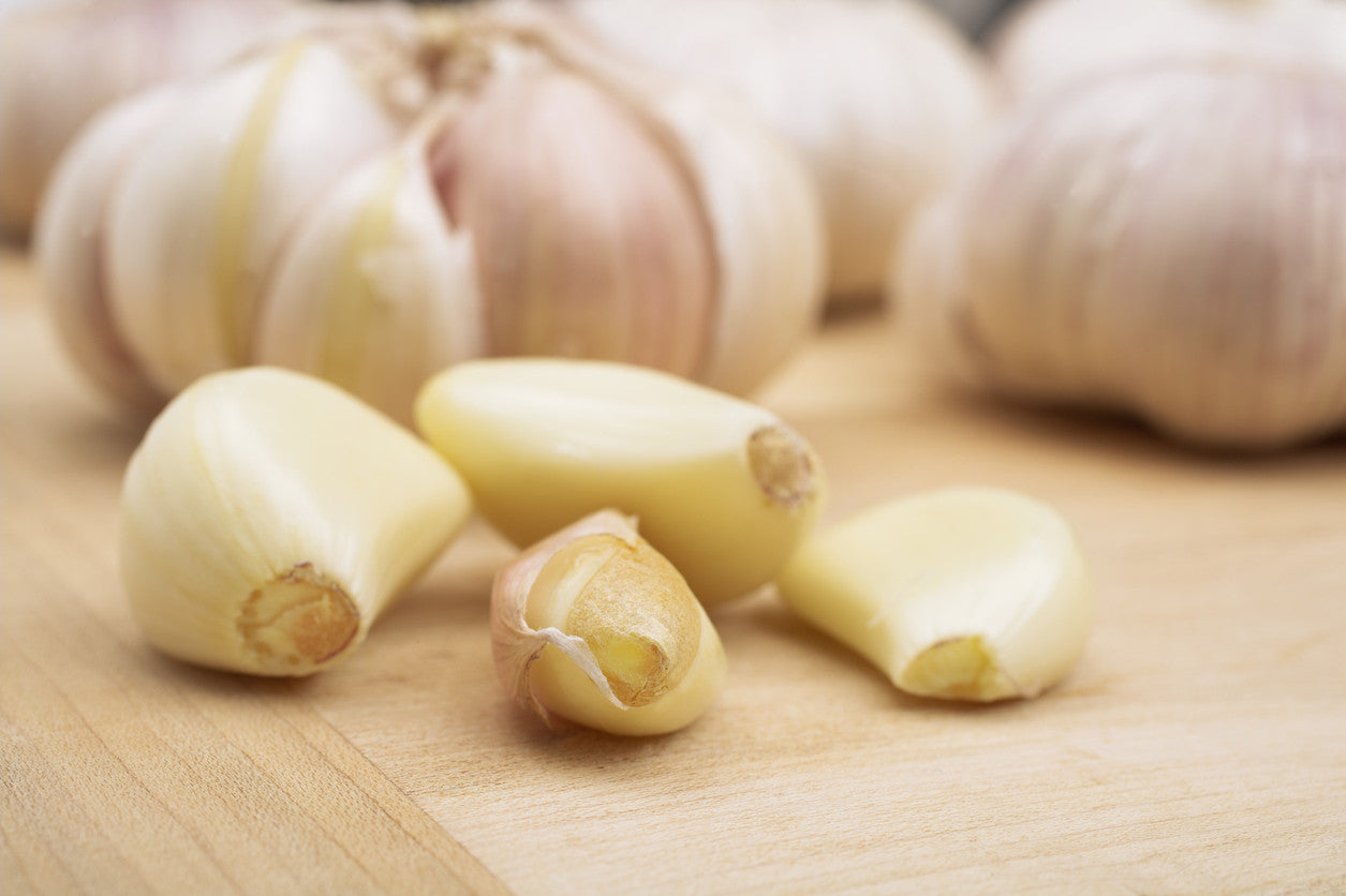 Garlic Infused Olive Oil (North Conway Olive Oil Company)