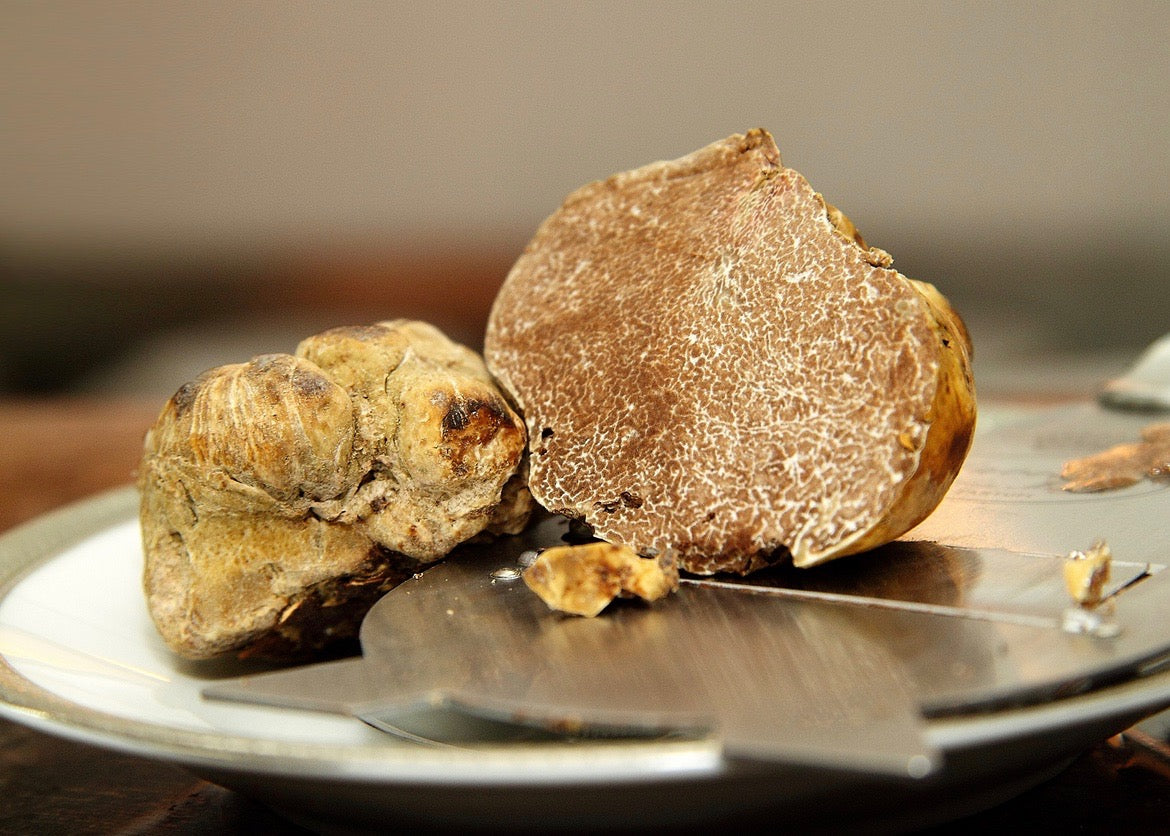 White Truffle Oil